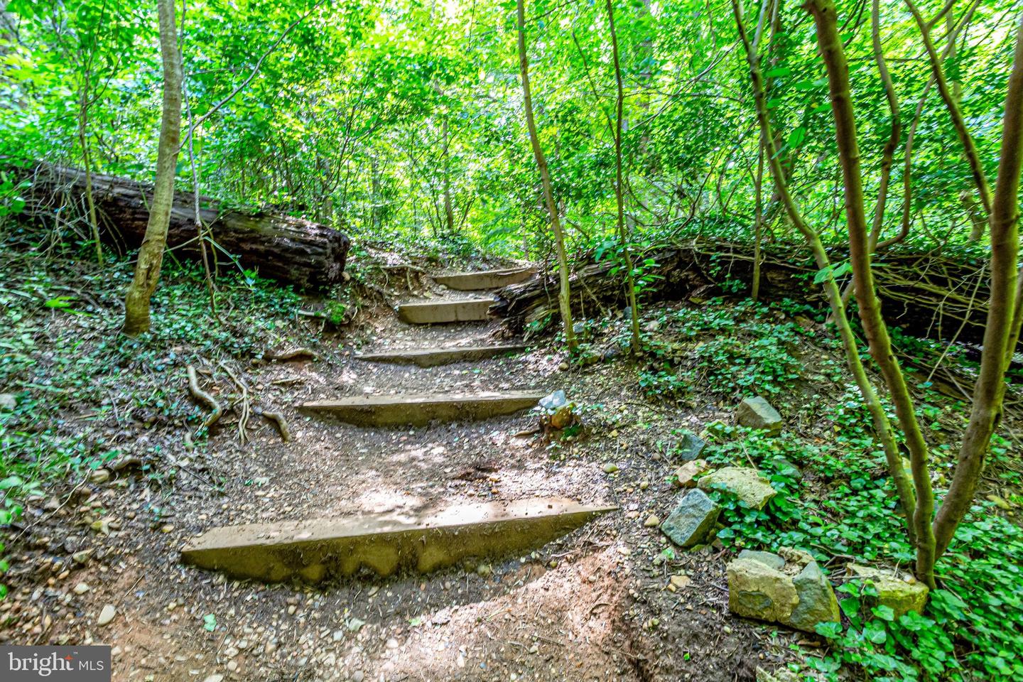 4101 CATHEDRAL AVE NW #1104, WASHINGTON, District Of Columbia 20016, 3 Bedrooms Bedrooms, ,2 BathroomsBathrooms,Residential,For sale,4101 CATHEDRAL AVE NW #1104,DCDC2225998 MLS # DCDC2225998