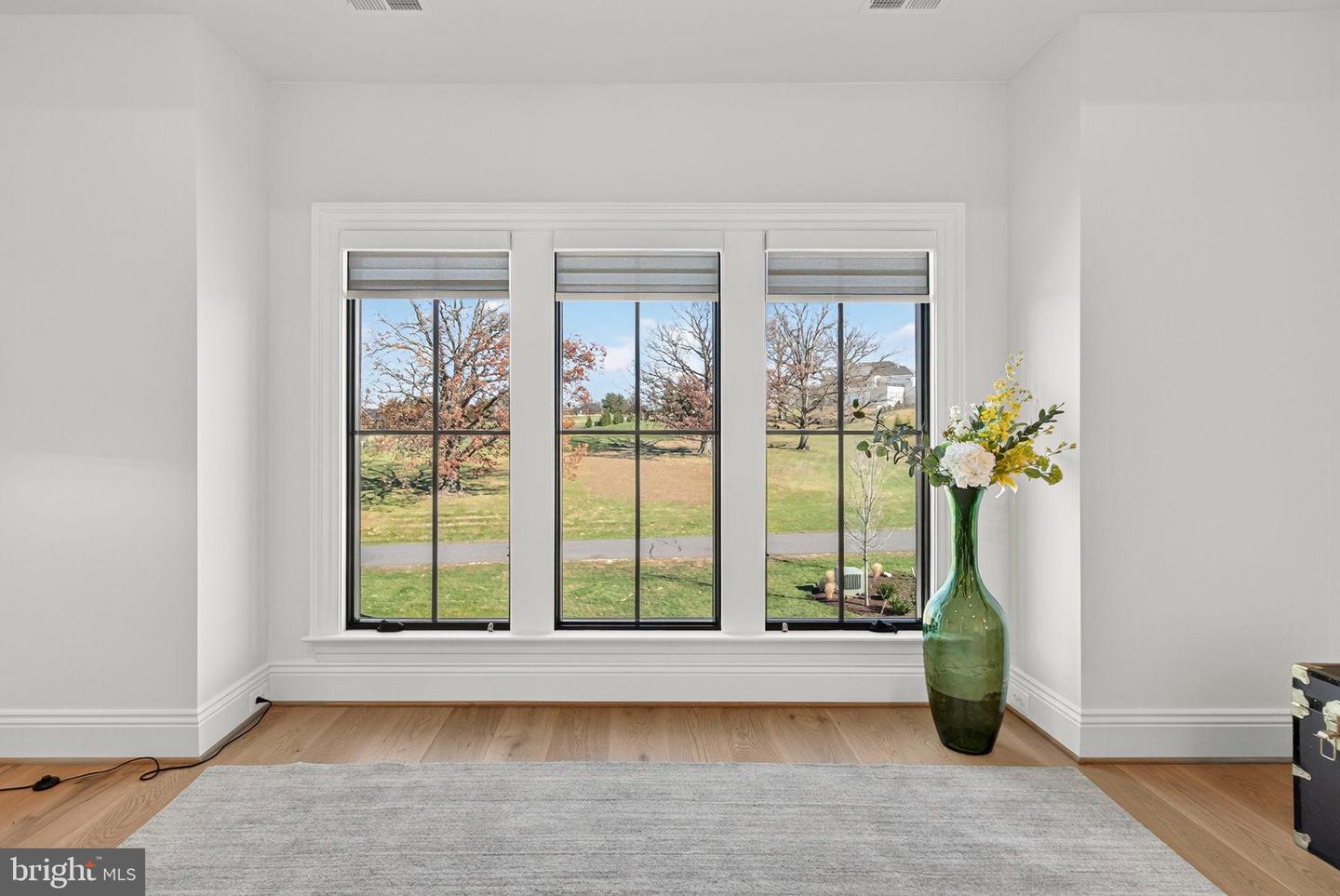 22955 MONTJOY CT, LEESBURG, Virginia 20175, 5 Bedrooms Bedrooms, 11 Rooms Rooms,5 BathroomsBathrooms,Residential,For sale,22955 MONTJOY CT,VALO2111160 MLS # VALO2111160