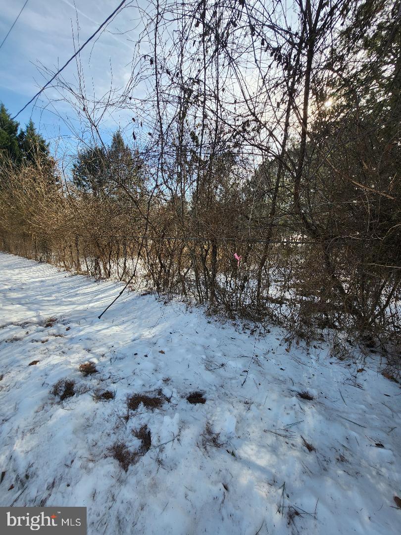 9546 RAPIDAN DR, FREDERICKSBURG, Virginia 22407, ,Land,For sale,9546 RAPIDAN DR,VASP2039066 MLS # VASP2039066 9546 RAPIDAN DR, FREDERICKSBURG, Virginia 22407, ,Land,For sale,9546 RAPIDAN DR,VASP2039066 MLS # VASP2039066