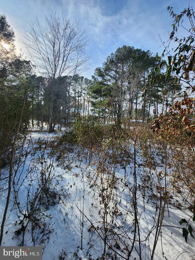 9546 RAPIDAN DR, FREDERICKSBURG, Virginia 22407, ,Land,For sale,9546 RAPIDAN DR,VASP2039066 MLS # VASP2039066 9546 RAPIDAN DR, FREDERICKSBURG, Virginia 22407, ,Land,For sale,9546 RAPIDAN DR,VASP2039066 MLS # VASP2039066