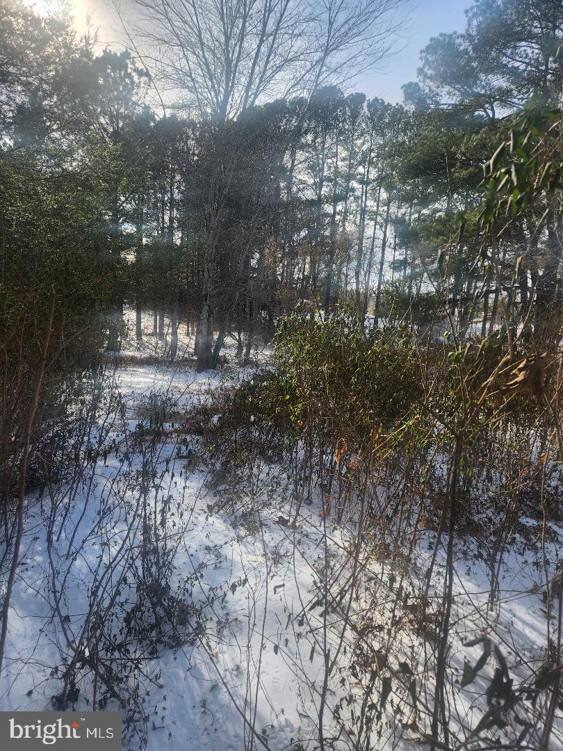 9546 RAPIDAN DR, FREDERICKSBURG, Virginia 22407, ,Land,For sale,9546 RAPIDAN DR,VASP2039066 MLS # VASP2039066 9546 RAPIDAN DR, FREDERICKSBURG, Virginia 22407, ,Land,For sale,9546 RAPIDAN DR,VASP2039066 MLS # VASP2039066