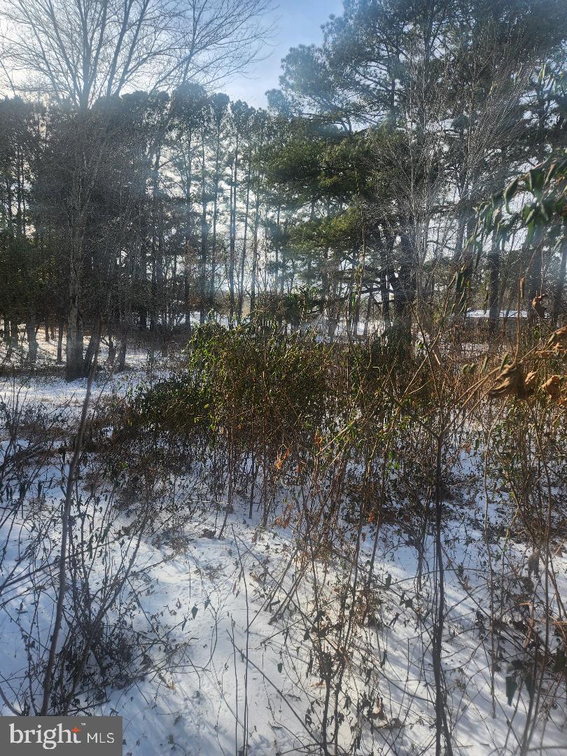 9546 RAPIDAN DR, FREDERICKSBURG, Virginia 22407, ,Land,For sale,9546 RAPIDAN DR,VASP2039066 MLS # VASP2039066 9546 RAPIDAN DR, FREDERICKSBURG, Virginia 22407, ,Land,For sale,9546 RAPIDAN DR,VASP2039066 MLS # VASP2039066