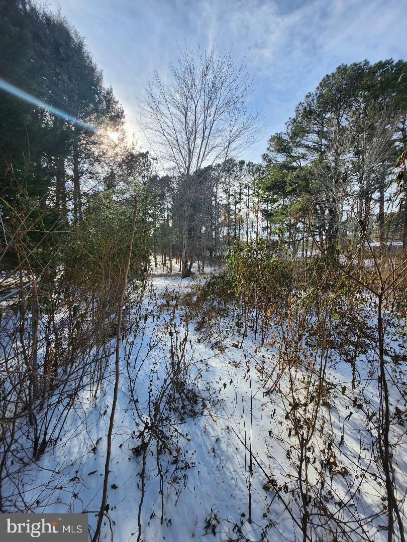 9546 RAPIDAN DR, FREDERICKSBURG, Virginia 22407, ,Land,For sale,9546 RAPIDAN DR,VASP2039066 MLS # VASP2039066 9546 RAPIDAN DR, FREDERICKSBURG, Virginia 22407, ,Land,For sale,9546 RAPIDAN DR,VASP2039066 MLS # VASP2039066