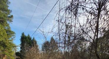 9546 RAPIDAN DR, FREDERICKSBURG, Virginia 22407, ,Land,For sale,9546 RAPIDAN DR,VASP2039066 MLS # VASP2039066