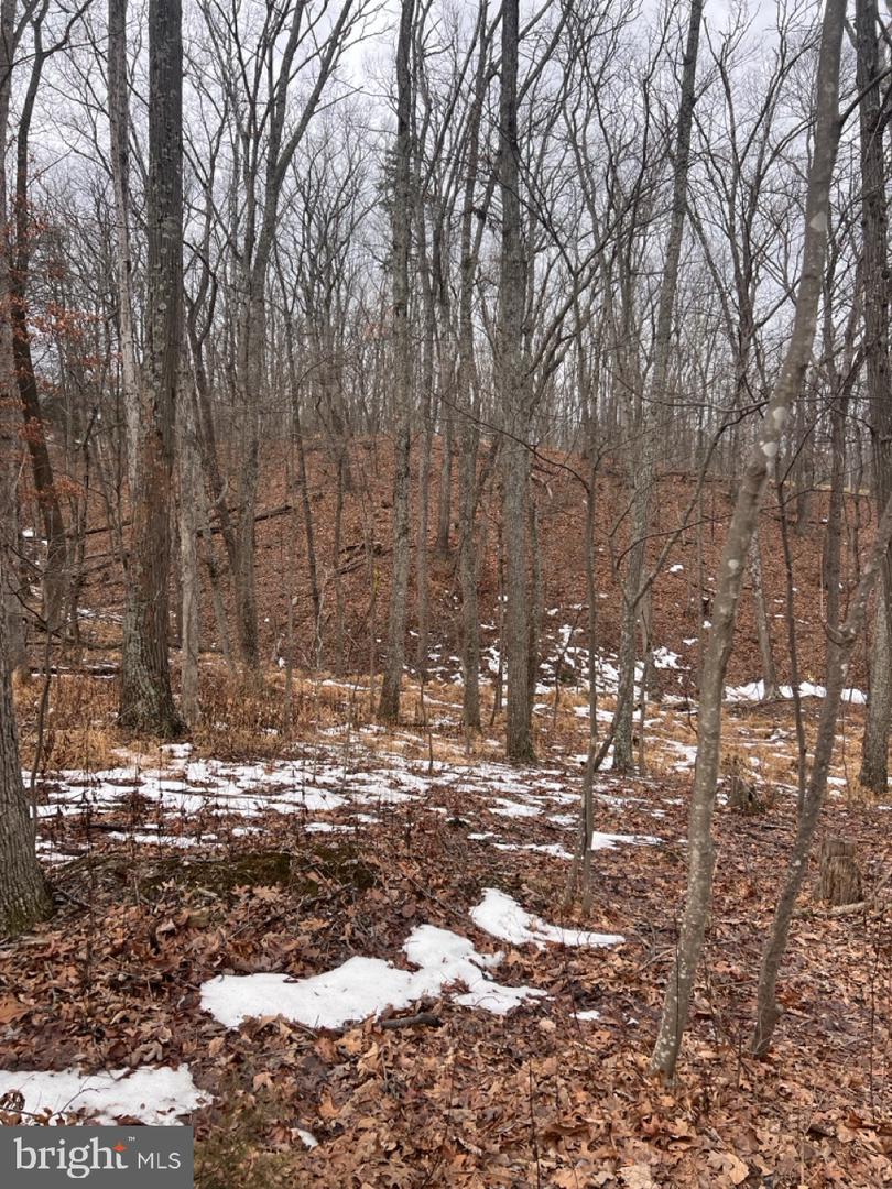 HUMMINGBIRD LN, STAR TANNERY, Virginia 22654, ,Land,For sale,HUMMINGBIRD LN,VASH2013572 MLS # VASH2013572