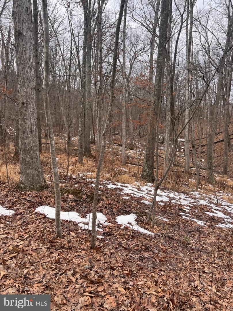 HUMMINGBIRD LN, STAR TANNERY, Virginia 22654, ,Land,For sale,HUMMINGBIRD LN,VASH2013572 MLS # VASH2013572