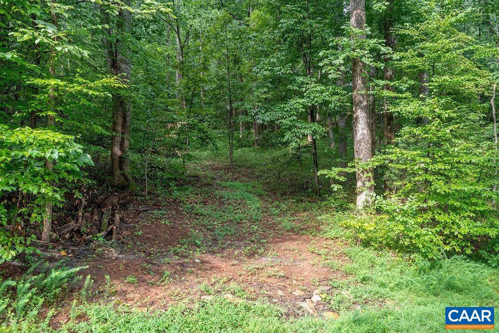 680 HIGHTOP DR, NORTH GARDEN, Virginia 22959, ,Land,For sale,680 HIGHTOP DR,673361 MLS # 673361