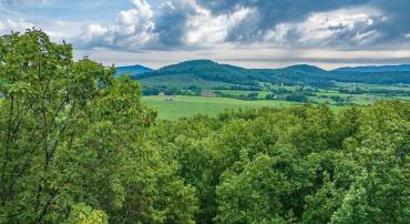 680 HIGHTOP DR, NORTH GARDEN, Virginia 22959, ,Land,For sale,680 HIGHTOP DR,673361 MLS # 673361