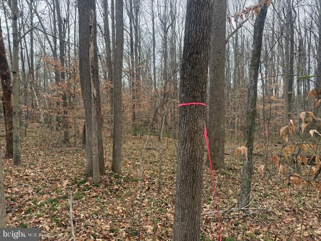 BROOKE RD, STAFFORD, Virginia 22554, ,Land,For sale,BROOKE RD,VAST2046236 MLS # VAST2046236 BROOKE RD, STAFFORD, Virginia 22554, ,Land,For sale,BROOKE RD,VAST2046236 MLS # VAST2046236