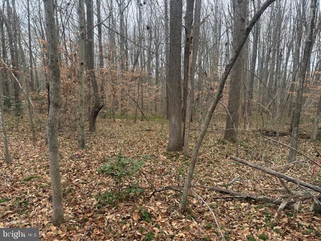 BROOKE RD, STAFFORD, Virginia 22554, ,Land,For sale,BROOKE RD,VAST2046236 MLS # VAST2046236 BROOKE RD, STAFFORD, Virginia 22554, ,Land,For sale,BROOKE RD,VAST2046236 MLS # VAST2046236