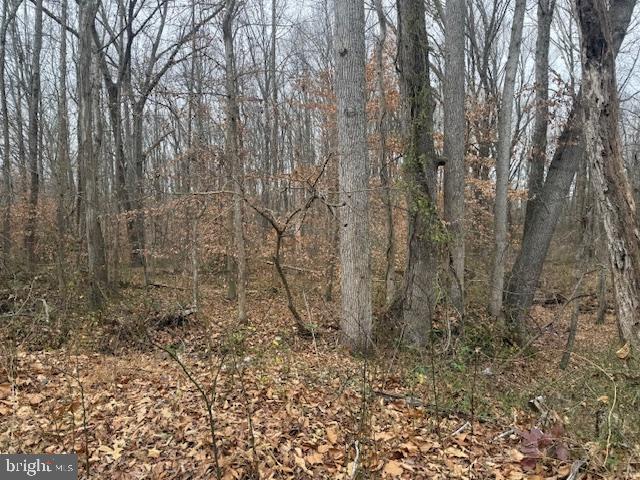 BROOKE RD, STAFFORD, Virginia 22554, ,Land,For sale,BROOKE RD,VAST2046236 MLS # VAST2046236 BROOKE RD, STAFFORD, Virginia 22554, ,Land,For sale,BROOKE RD,VAST2046236 MLS # VAST2046236