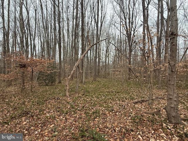 BROOKE RD, STAFFORD, Virginia 22554, ,Land,For sale,BROOKE RD,VAST2046236 MLS # VAST2046236 BROOKE RD, STAFFORD, Virginia 22554, ,Land,For sale,BROOKE RD,VAST2046236 MLS # VAST2046236