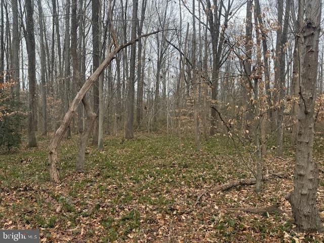 BROOKE RD, STAFFORD, Virginia 22554, ,Land,For sale,BROOKE RD,VAST2046236 MLS # VAST2046236 BROOKE RD, STAFFORD, Virginia 22554, ,Land,For sale,BROOKE RD,VAST2046236 MLS # VAST2046236