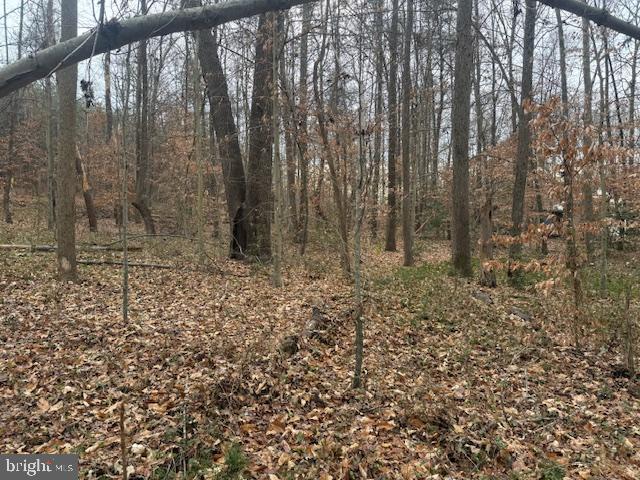 BROOKE RD, STAFFORD, Virginia 22554, ,Land,For sale,BROOKE RD,VAST2046236 MLS # VAST2046236 BROOKE RD, STAFFORD, Virginia 22554, ,Land,For sale,BROOKE RD,VAST2046236 MLS # VAST2046236