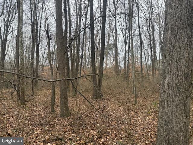 BROOKE RD, STAFFORD, Virginia 22554, ,Land,For sale,BROOKE RD,VAST2046236 MLS # VAST2046236 BROOKE RD, STAFFORD, Virginia 22554, ,Land,For sale,BROOKE RD,VAST2046236 MLS # VAST2046236