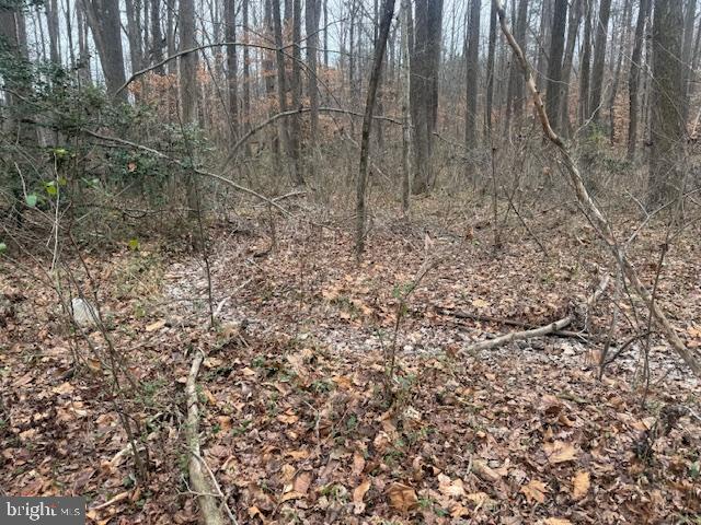 BROOKE RD, STAFFORD, Virginia 22554, ,Land,For sale,BROOKE RD,VAST2046236 MLS # VAST2046236 BROOKE RD, STAFFORD, Virginia 22554, ,Land,For sale,BROOKE RD,VAST2046236 MLS # VAST2046236