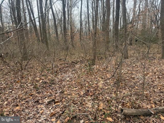 BROOKE RD, STAFFORD, Virginia 22554, ,Land,For sale,BROOKE RD,VAST2046236 MLS # VAST2046236 BROOKE RD, STAFFORD, Virginia 22554, ,Land,For sale,BROOKE RD,VAST2046236 MLS # VAST2046236