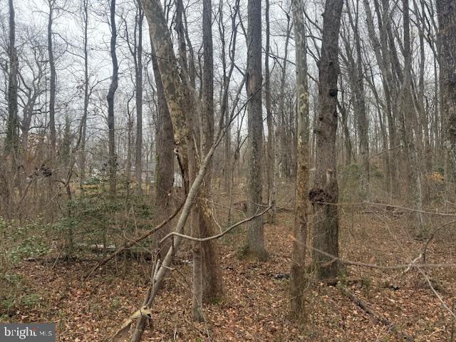 BROOKE RD, STAFFORD, Virginia 22554, ,Land,For sale,BROOKE RD,VAST2046236 MLS # VAST2046236 BROOKE RD, STAFFORD, Virginia 22554, ,Land,For sale,BROOKE RD,VAST2046236 MLS # VAST2046236