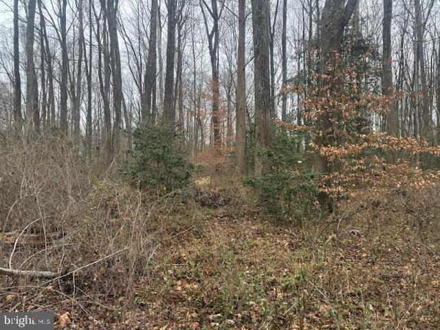 BROOKE RD, STAFFORD, Virginia 22554, ,Land,For sale,BROOKE RD,VAST2046236 MLS # VAST2046236 BROOKE RD, STAFFORD, Virginia 22554, ,Land,For sale,BROOKE RD,VAST2046236 MLS # VAST2046236