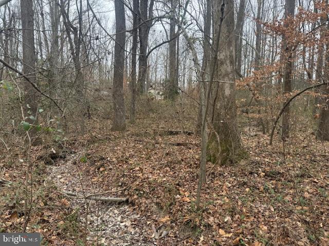 BROOKE RD, STAFFORD, Virginia 22554, ,Land,For sale,BROOKE RD,VAST2046236 MLS # VAST2046236 BROOKE RD, STAFFORD, Virginia 22554, ,Land,For sale,BROOKE RD,VAST2046236 MLS # VAST2046236