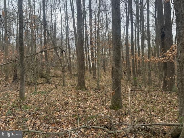 BROOKE RD, STAFFORD, Virginia 22554, ,Land,For sale,BROOKE RD,VAST2046236 MLS # VAST2046236 BROOKE RD, STAFFORD, Virginia 22554, ,Land,For sale,BROOKE RD,VAST2046236 MLS # VAST2046236