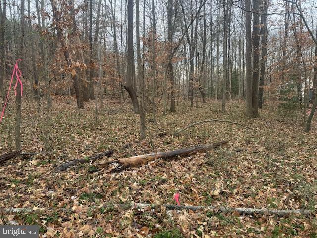 BROOKE RD, STAFFORD, Virginia 22554, ,Land,For sale,BROOKE RD,VAST2046236 MLS # VAST2046236 BROOKE RD, STAFFORD, Virginia 22554, ,Land,For sale,BROOKE RD,VAST2046236 MLS # VAST2046236