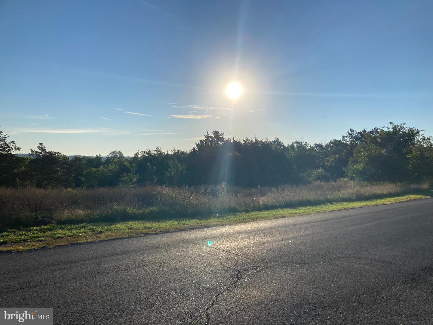 TBD SIGNAL KNOB, STRASBURG, Virginia 22657, ,Land,For sale,TBD SIGNAL KNOB,VASH2013606 MLS # VASH2013606