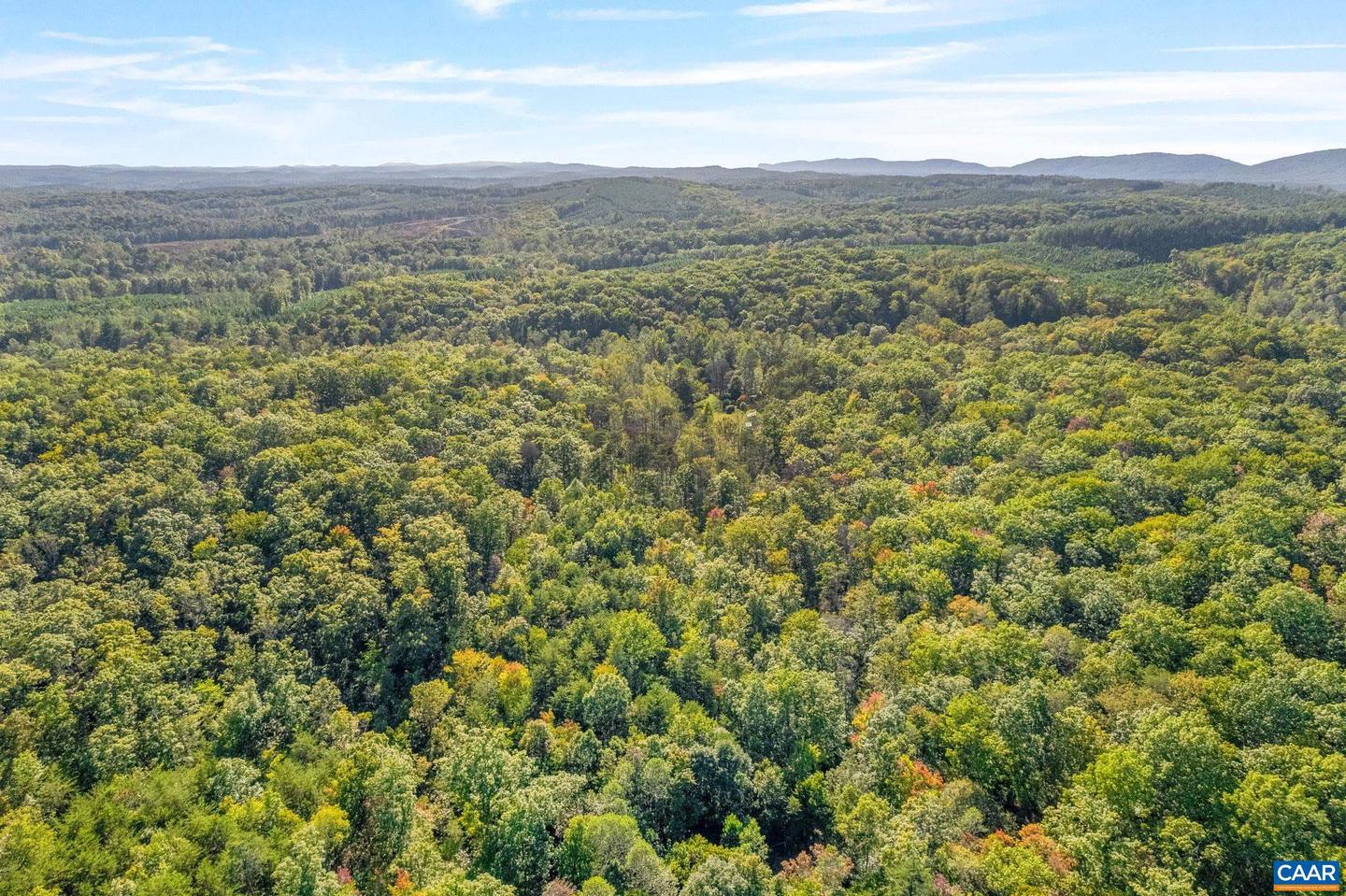 0 MAYO CREEK LN, WINGINA, Virginia 24599, ,Land,For sale,0 MAYO CREEK LN,673374 MLS # 673374