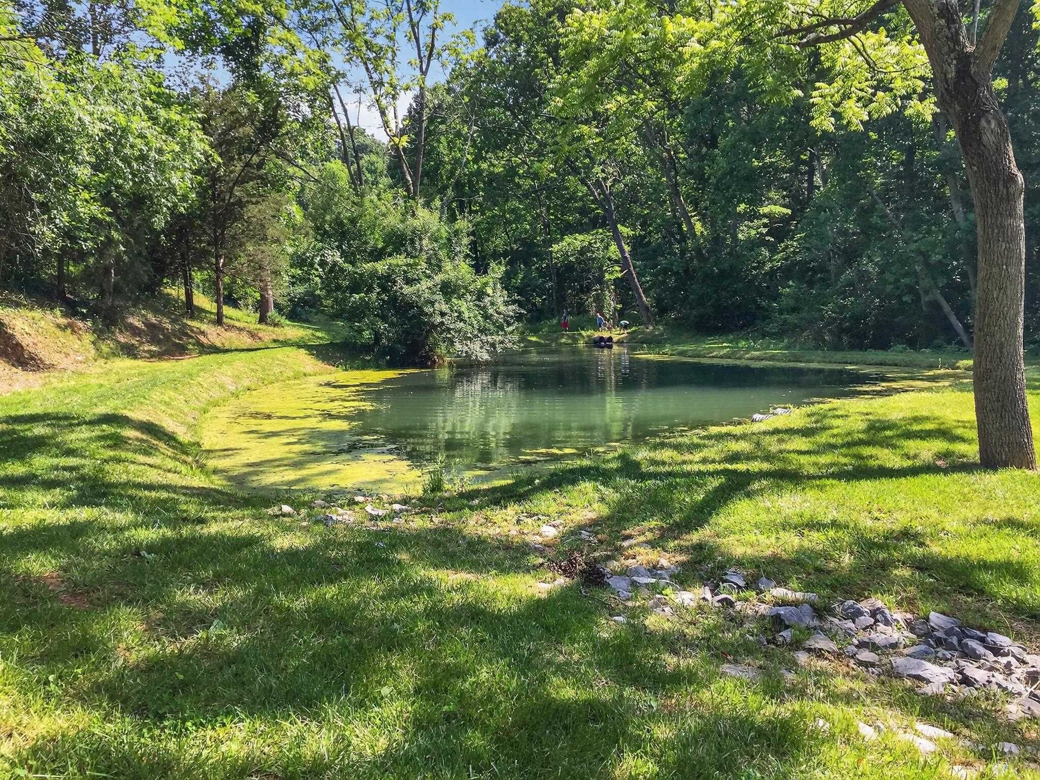 235 HOWARDSVILLE RD, STAUNTON, Virginia 24401, 5 Bedrooms Bedrooms, ,2 BathroomsBathrooms,Residential,235 HOWARDSVILLE RD,673372 MLS # 673372 235 HOWARDSVILLE RD, STAUNTON, Virginia 24401, 5 Bedrooms Bedrooms, ,2 BathroomsBathrooms,Residential,235 HOWARDSVILLE RD,673372 MLS # 673372