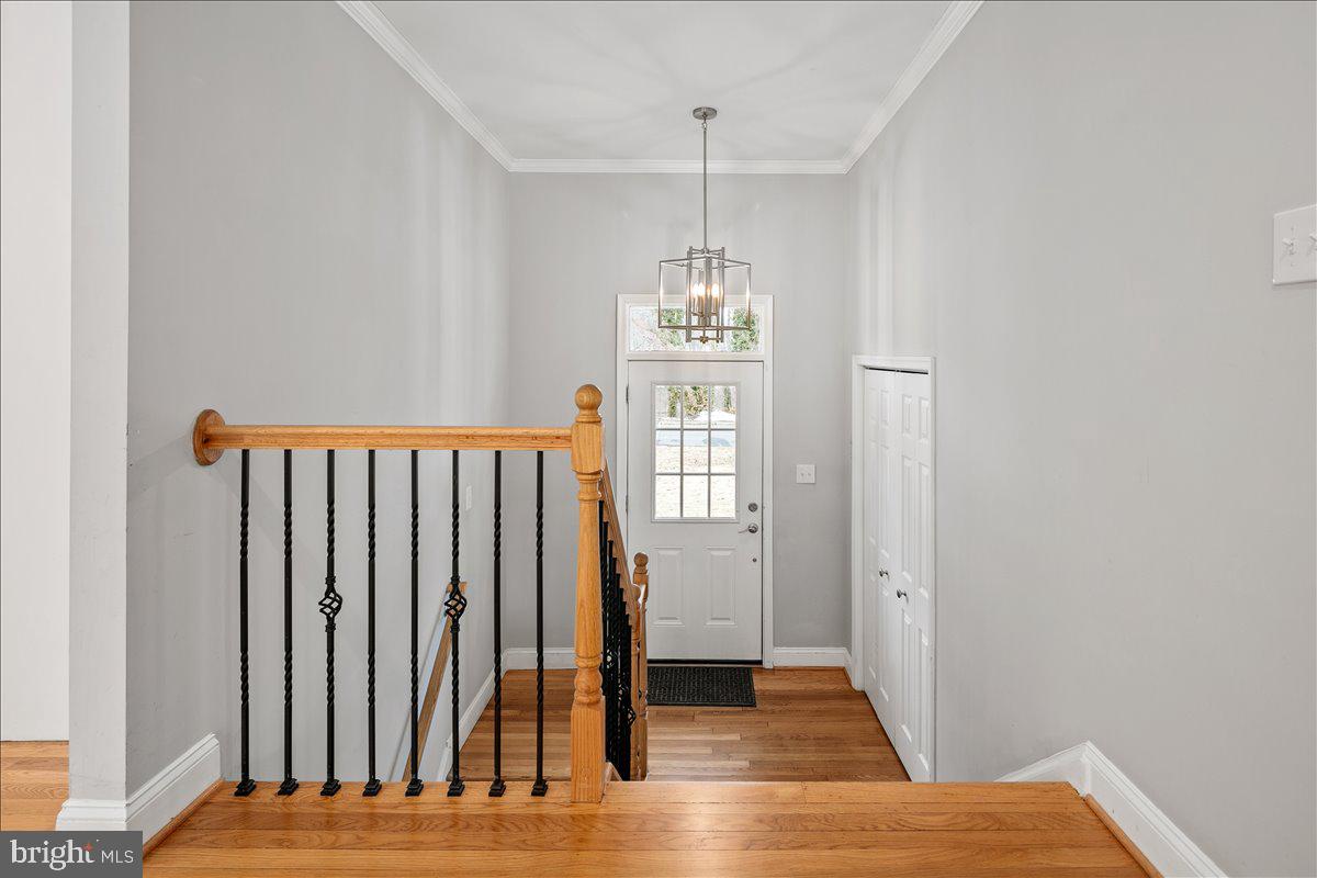 8711 MILLBROOK PL, ALEXANDRIA, Virginia 22309, 5 Bedrooms Bedrooms, ,3 BathroomsBathrooms,Residential,For sale,8711 MILLBROOK PL,VAFX2287698 MLS # VAFX2287698