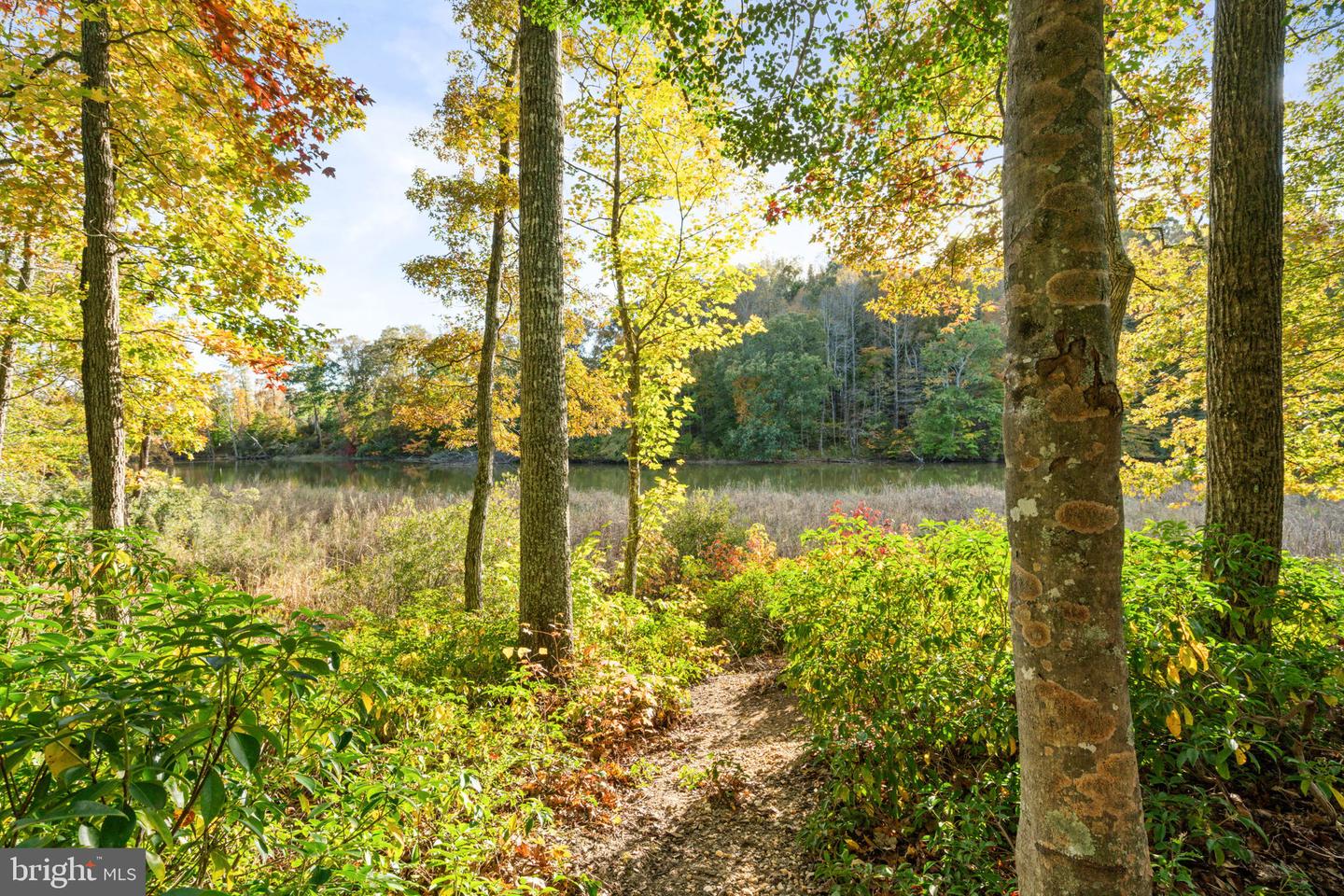 14760 PEACH TREE LN, KING GEORGE, Virginia 22485, 6 Bedrooms Bedrooms, ,3 BathroomsBathrooms,Residential,For sale,14760 PEACH TREE LN,VAKG2007596 MLS # VAKG2007596