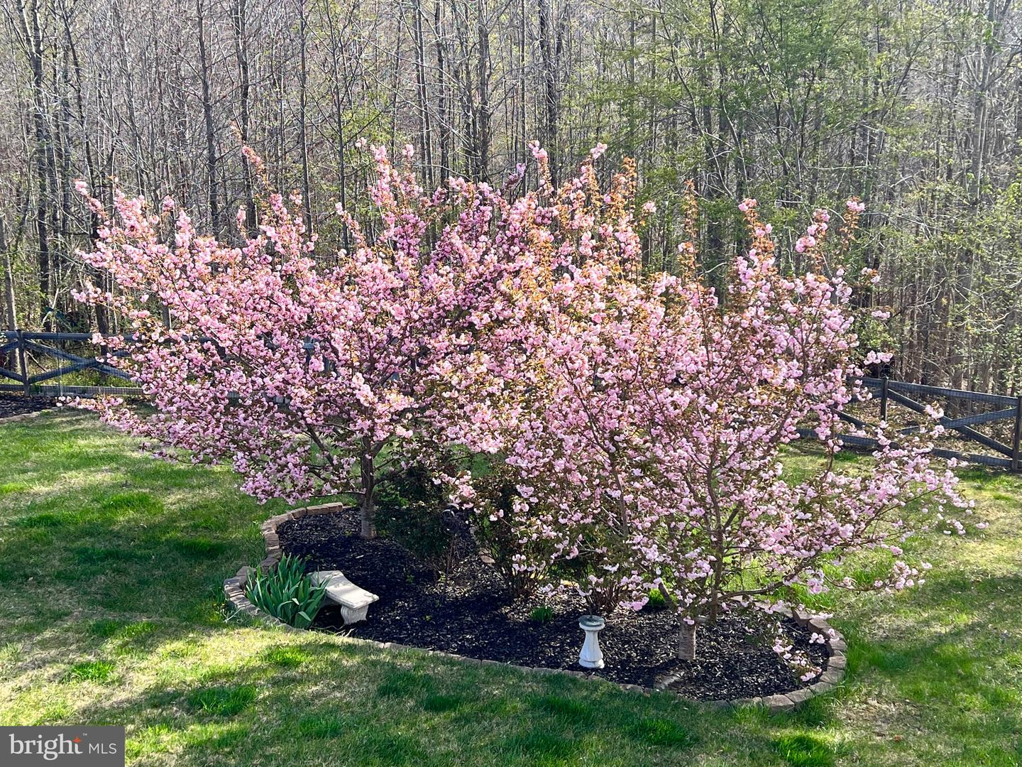 75 REGAL LN, FREDERICKSBURG, Virginia 22406, 4 Bedrooms Bedrooms, ,3 BathroomsBathrooms,Residential,For sale,75 REGAL LN,VAST2045766 MLS # VAST2045766