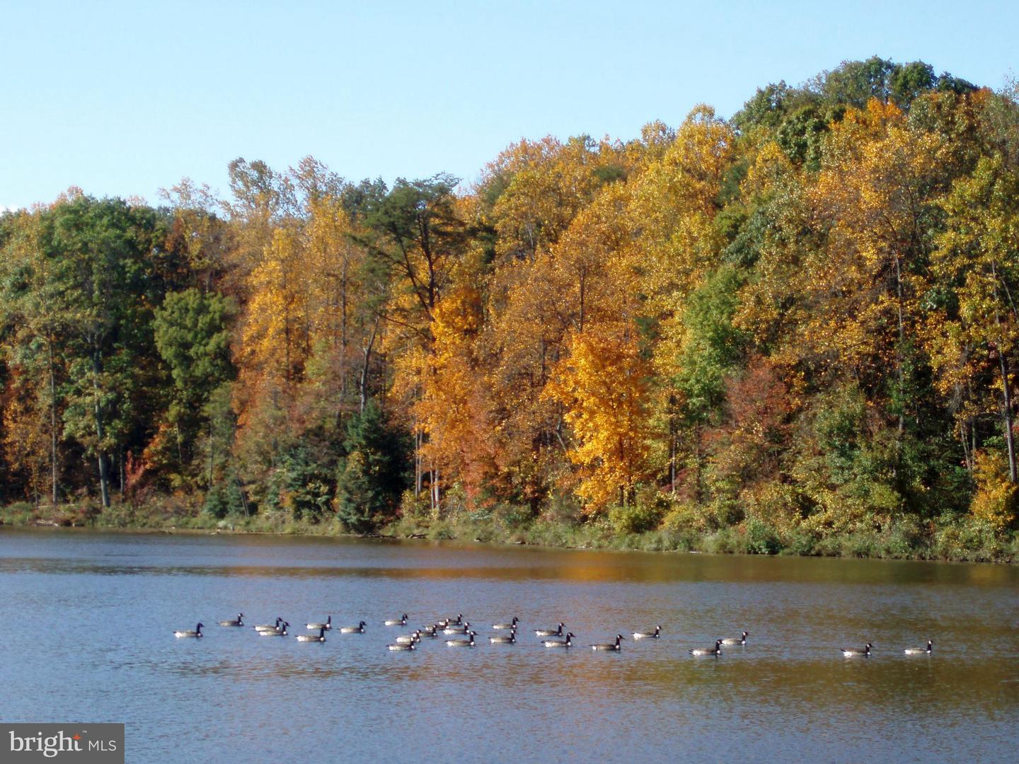 5342 GUINEA RD, FAIRFAX, Virginia 22032, 4 Bedrooms Bedrooms, ,3 BathroomsBathrooms,Residential,For sale,5342 GUINEA RD,VAFX2289936 MLS # VAFX2289936