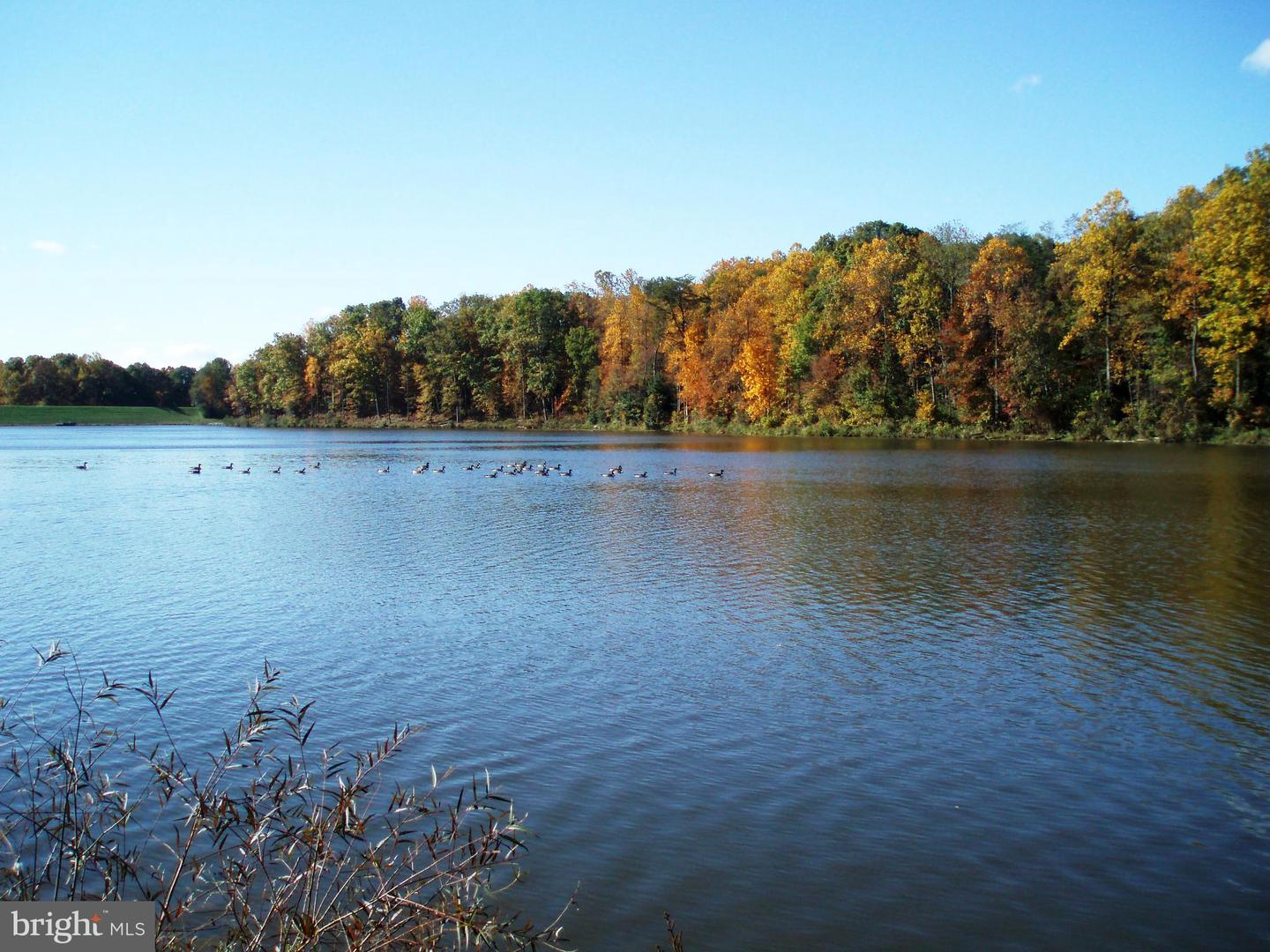 5342 GUINEA RD, FAIRFAX, Virginia 22032, 4 Bedrooms Bedrooms, ,3 BathroomsBathrooms,Residential,For sale,5342 GUINEA RD,VAFX2289936 MLS # VAFX2289936