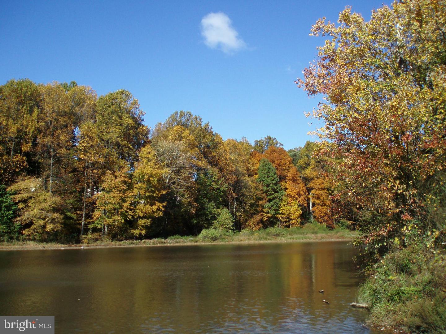 5342 GUINEA RD, FAIRFAX, Virginia 22032, 4 Bedrooms Bedrooms, ,3 BathroomsBathrooms,Residential,For sale,5342 GUINEA RD,VAFX2289936 MLS # VAFX2289936