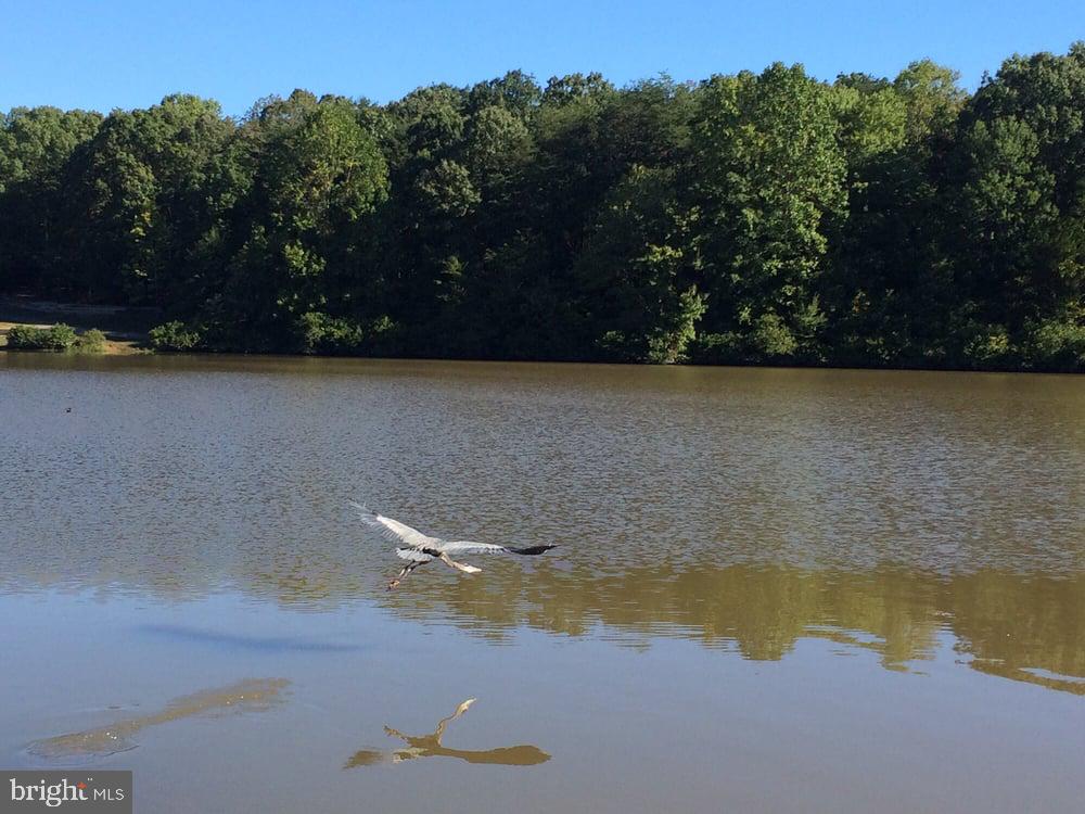 5342 GUINEA RD, FAIRFAX, Virginia 22032, 4 Bedrooms Bedrooms, ,3 BathroomsBathrooms,Residential,For sale,5342 GUINEA RD,VAFX2289936 MLS # VAFX2289936