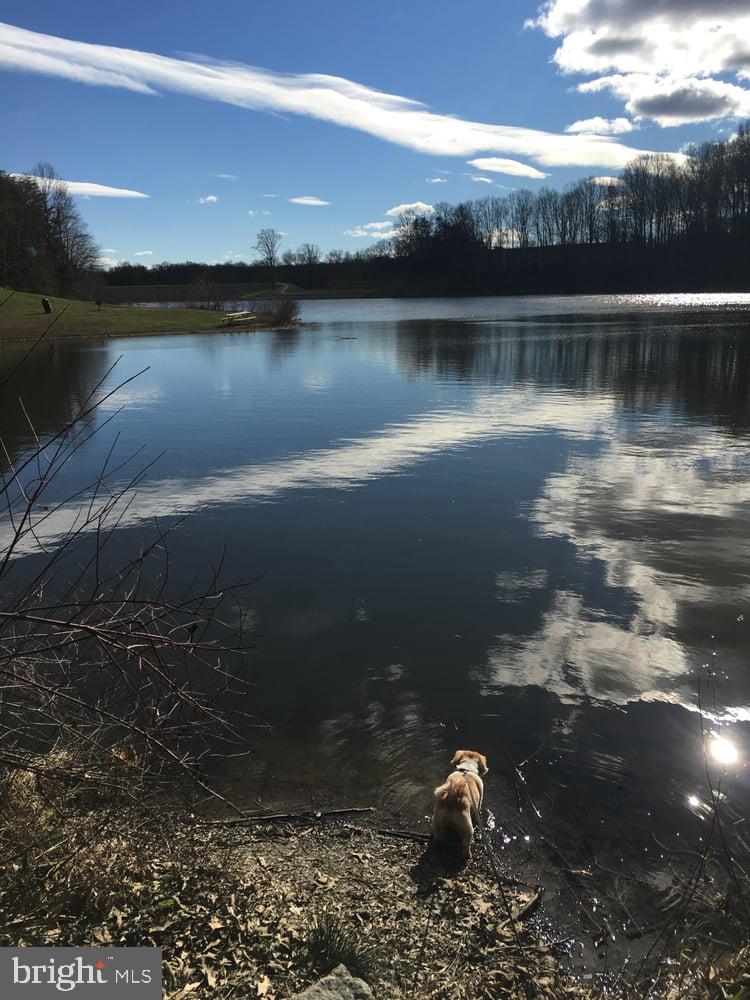 5342 GUINEA RD, FAIRFAX, Virginia 22032, 4 Bedrooms Bedrooms, ,3 BathroomsBathrooms,Residential,For sale,5342 GUINEA RD,VAFX2289936 MLS # VAFX2289936