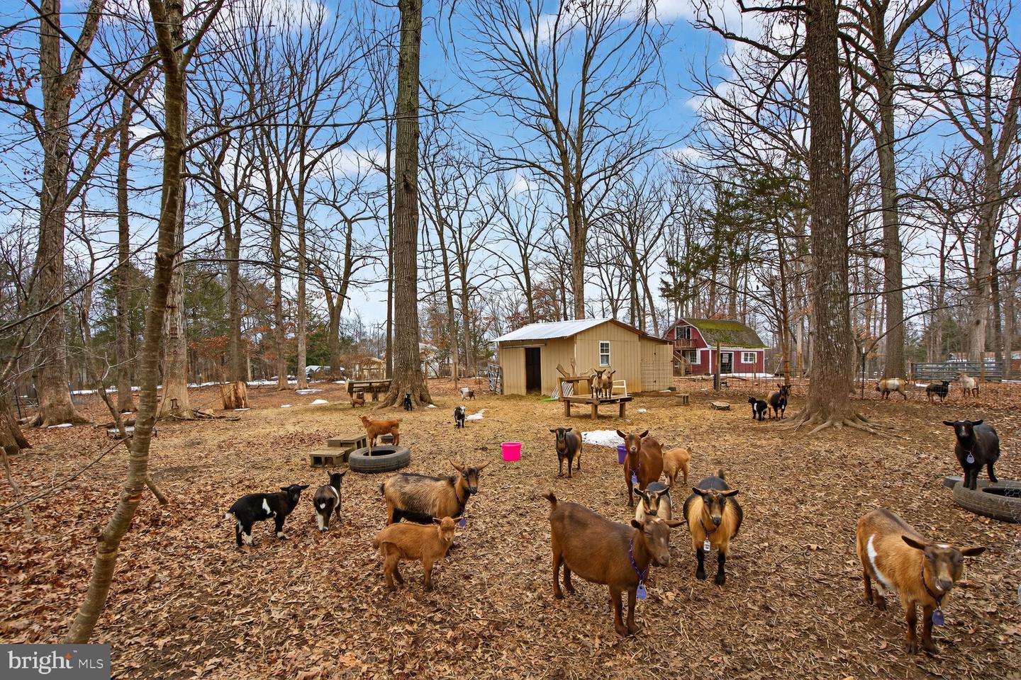 7406 KENNEDY RD, NOKESVILLE, Virginia 20181, 3 Bedrooms Bedrooms, ,2 BathroomsBathrooms,Residential,For sale,7406 KENNEDY RD,VAFQ2020514 MLS # VAFQ2020514