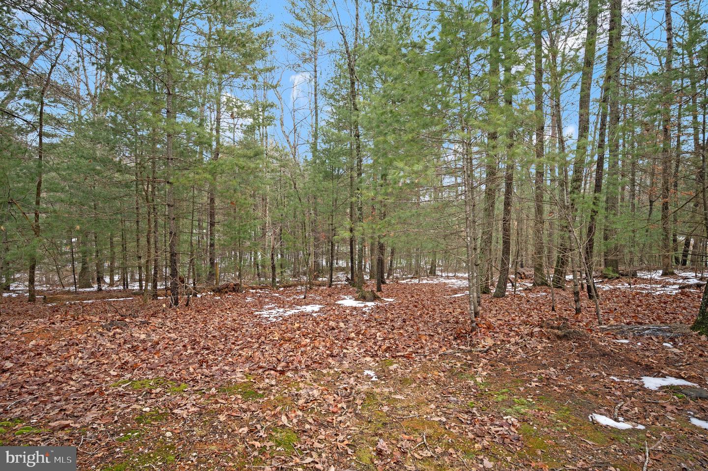 23145 WALKERS BRANCH RD, UNIONVILLE, Virginia 22567, 4 Bedrooms Bedrooms, ,2 BathroomsBathrooms,Residential,For sale,23145 WALKERS BRANCH RD,VAOR2013300 MLS # VAOR2013300 23145 WALKERS BRANCH RD, UNIONVILLE, Virginia 22567, 4 Bedrooms Bedrooms, ,2 BathroomsBathrooms,Residential,For sale,23145 WALKERS BRANCH RD,VAOR2013300 MLS # VAOR2013300