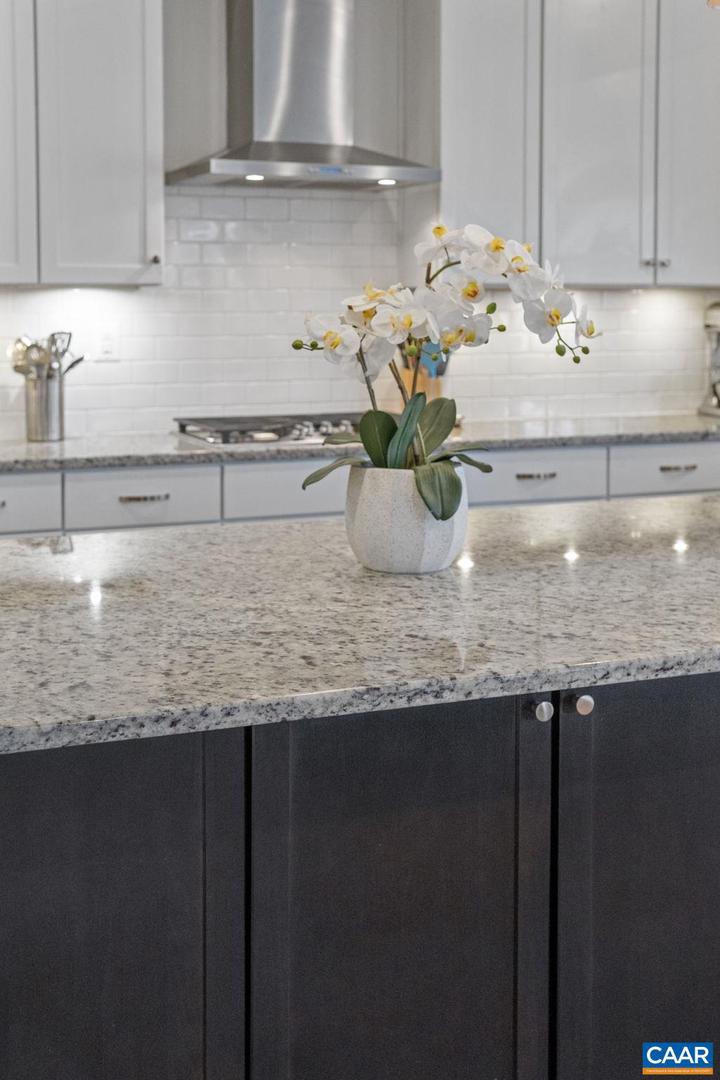 1321 DUBINE DR, CHARLOTTESVILLE, Virginia 22903, 7 Bedrooms Bedrooms, ,5 BathroomsBathrooms,Residential,For sale,1321 DUBINE DR,673252 MLS # 673252