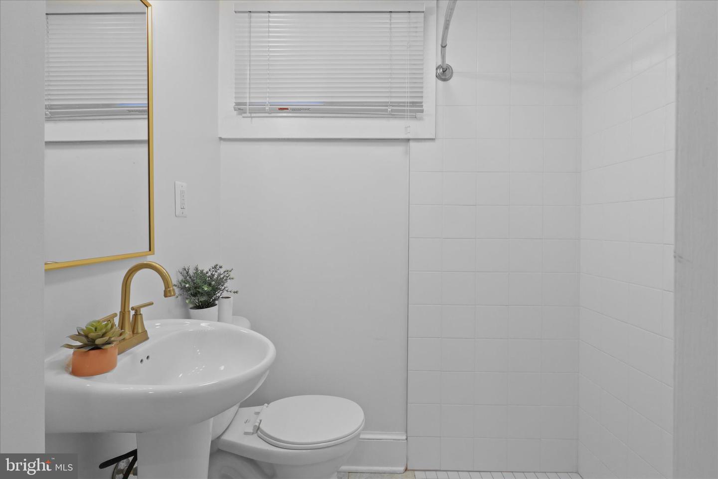 521 QUINTANA PL NW, WASHINGTON, District Of Columbia 20011, 3 Bedrooms Bedrooms, ,3 BathroomsBathrooms,Residential,For sale,521 QUINTANA PL NW,DCDC2246474 MLS # DCDC2246474