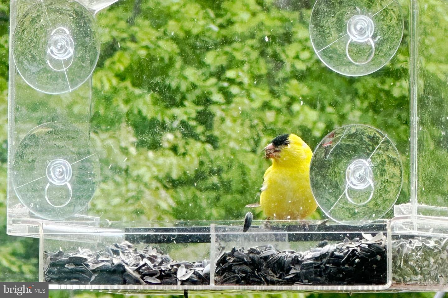 770 POPLAR RD, STAFFORD, Virginia 22556, 4 Bedrooms Bedrooms, ,2 BathroomsBathrooms,Residential,For sale,770 POPLAR RD,VAST2038588 MLS # VAST2038588