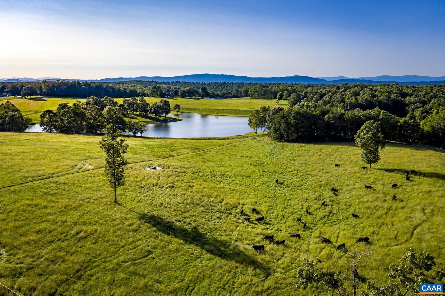 LOT 5 THOMAS JEFFERSON PKWY #LOT 5, CHARLOTTESVILLE, Virginia 22902, ,Land,For sale,LOT 5 THOMAS JEFFERSON PKWY #LOT 5,673292 MLS # 673292