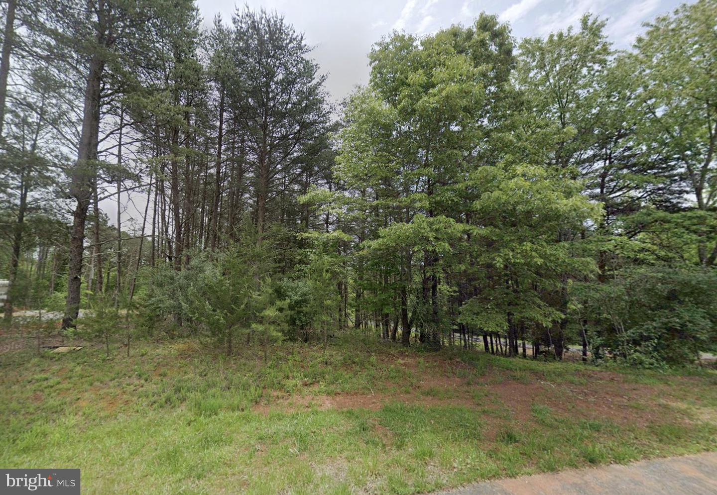 1099 BRIDGEWATER LN, MONETA, Virginia 24121, ,Land,For sale,1099 BRIDGEWATER LN,VABV2000282 MLS # VABV2000282