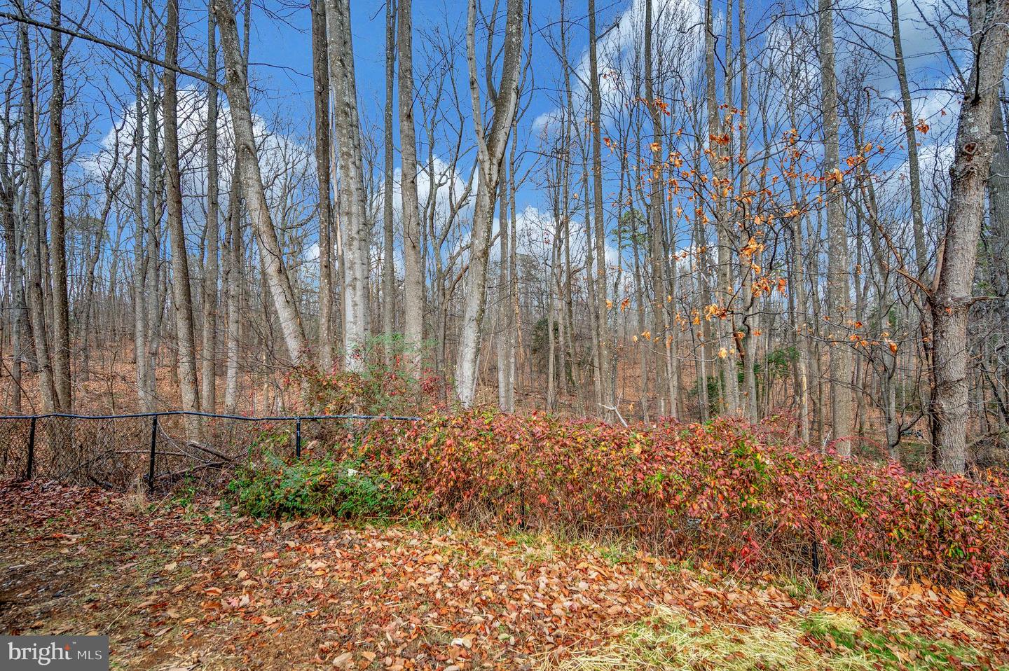 8445 JAMES MONROE HWY, CULPEPER, Virginia 22701, 4 Bedrooms Bedrooms, 8 Rooms Rooms,1 BathroomBathrooms,Residential,For sale,8445 JAMES MONROE HWY,VACU2012226 MLS # VACU2012226