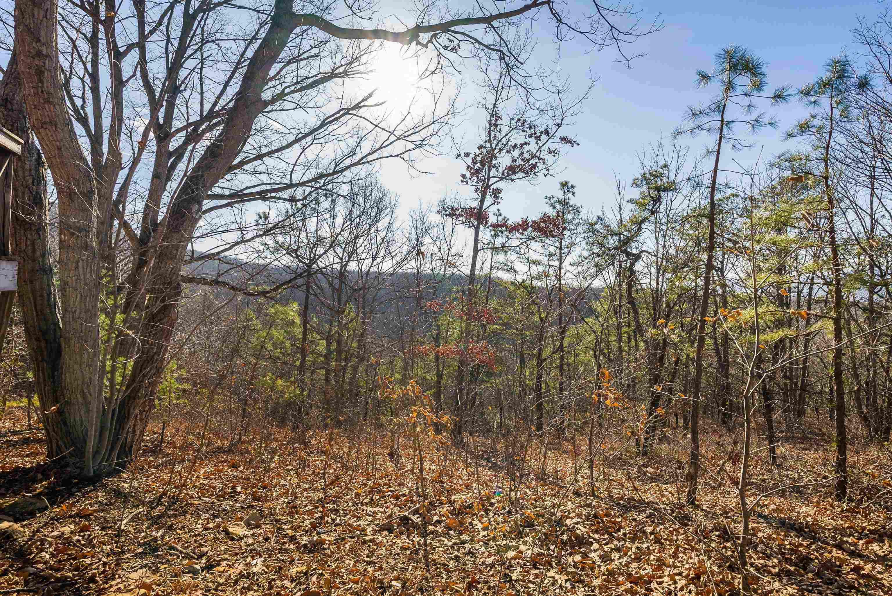 755 WILDWOOD LN, SHENANDOAH, Virginia 22849, 1 Bedroom Bedrooms, ,1 BathroomBathrooms,Residential,755 WILDWOOD LN,672071 MLS # 672071