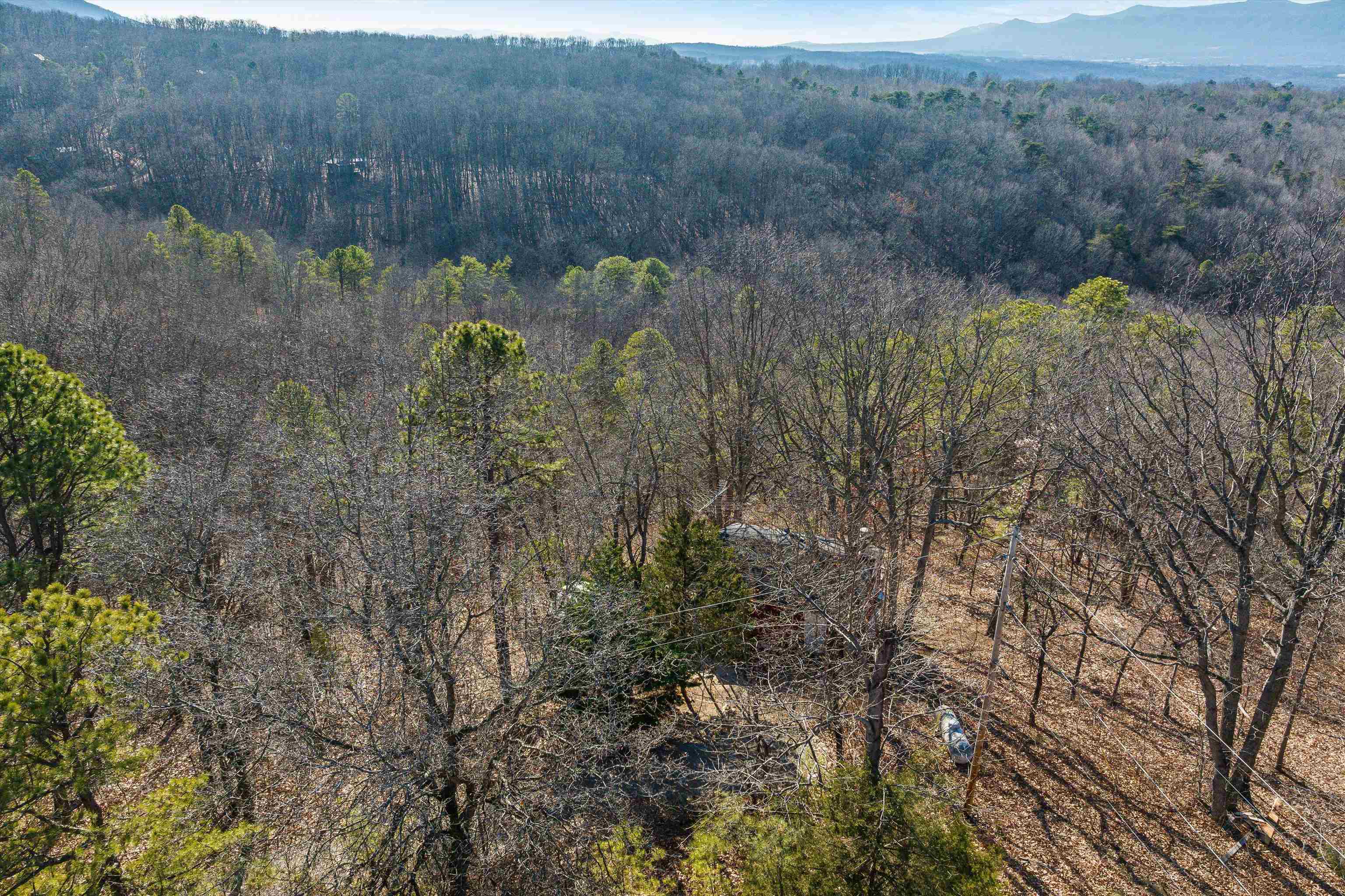 755 WILDWOOD LN, SHENANDOAH, Virginia 22849, 1 Bedroom Bedrooms, ,1 BathroomBathrooms,Residential,755 WILDWOOD LN,672071 MLS # 672071