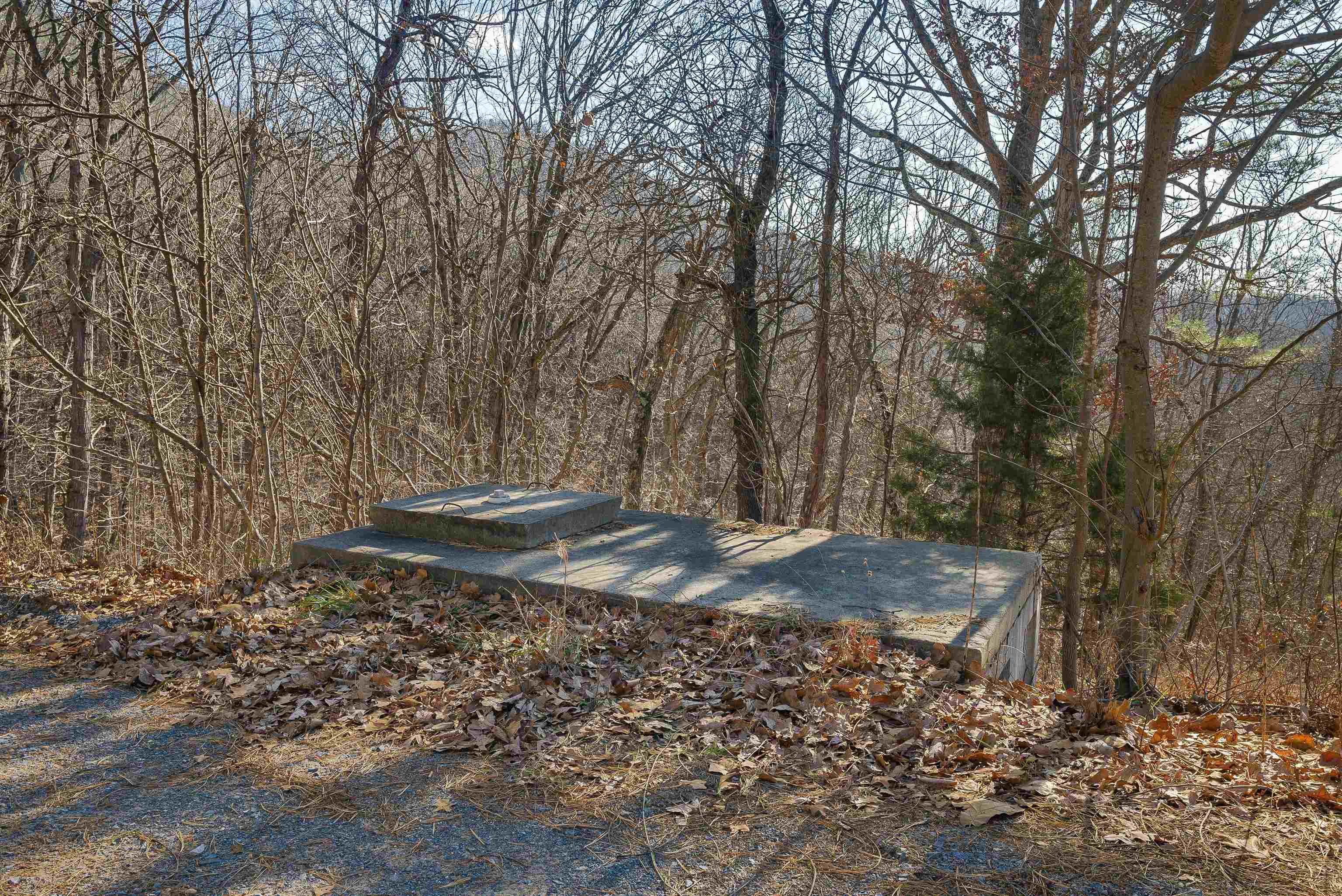 755 WILDWOOD LN, SHENANDOAH, Virginia 22849, 1 Bedroom Bedrooms, ,1 BathroomBathrooms,Residential,755 WILDWOOD LN,672071 MLS # 672071