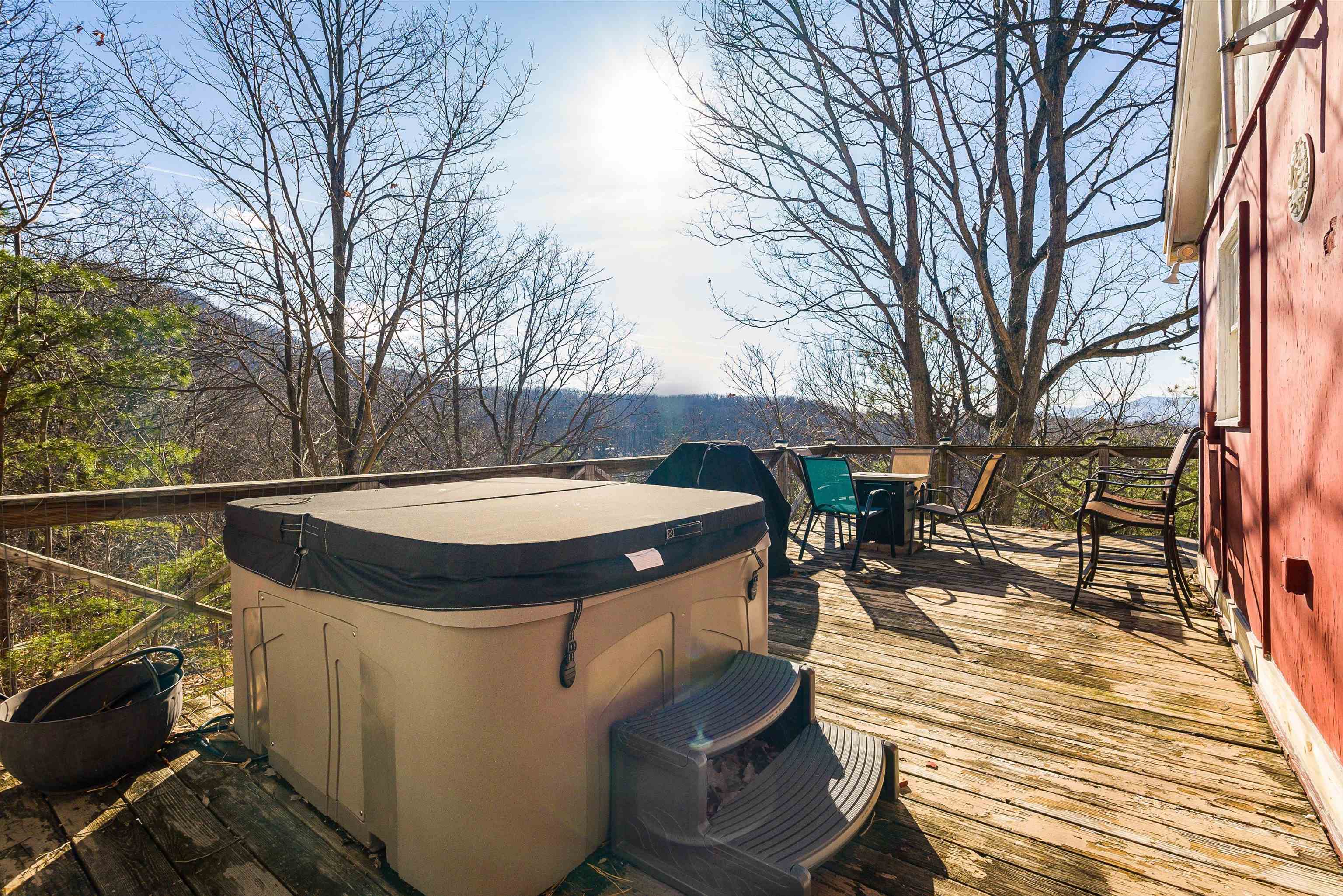 755 WILDWOOD LN, SHENANDOAH, Virginia 22849, 1 Bedroom Bedrooms, ,1 BathroomBathrooms,Residential,755 WILDWOOD LN,672071 MLS # 672071