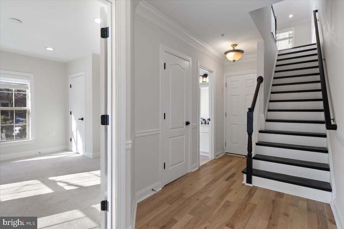 435 N GEORGE MASON DR, ARLINGTON, Virginia 22203, 4 Bedrooms Bedrooms, ,4 BathroomsBathrooms,Residential,For sale,435 N GEORGE MASON DR,VAAR2067368 MLS # VAAR2067368 435 N GEORGE MASON DR, ARLINGTON, Virginia 22203, 4 Bedrooms Bedrooms, ,4 BathroomsBathrooms,Residential,For sale,435 N GEORGE MASON DR,VAAR2067368 MLS # VAAR2067368